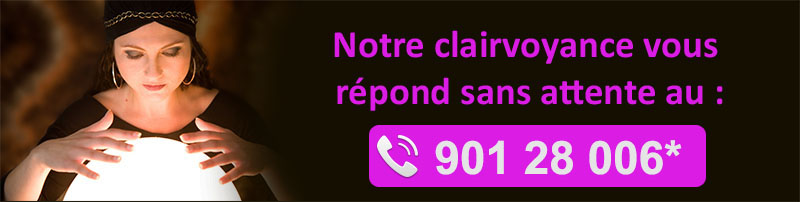 pur voyance 